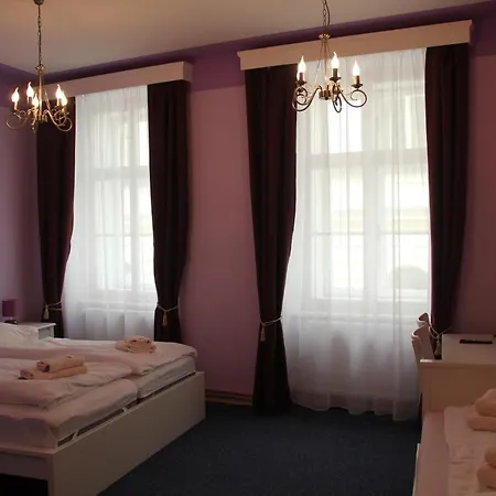 U Lucerny Pensionat 3*